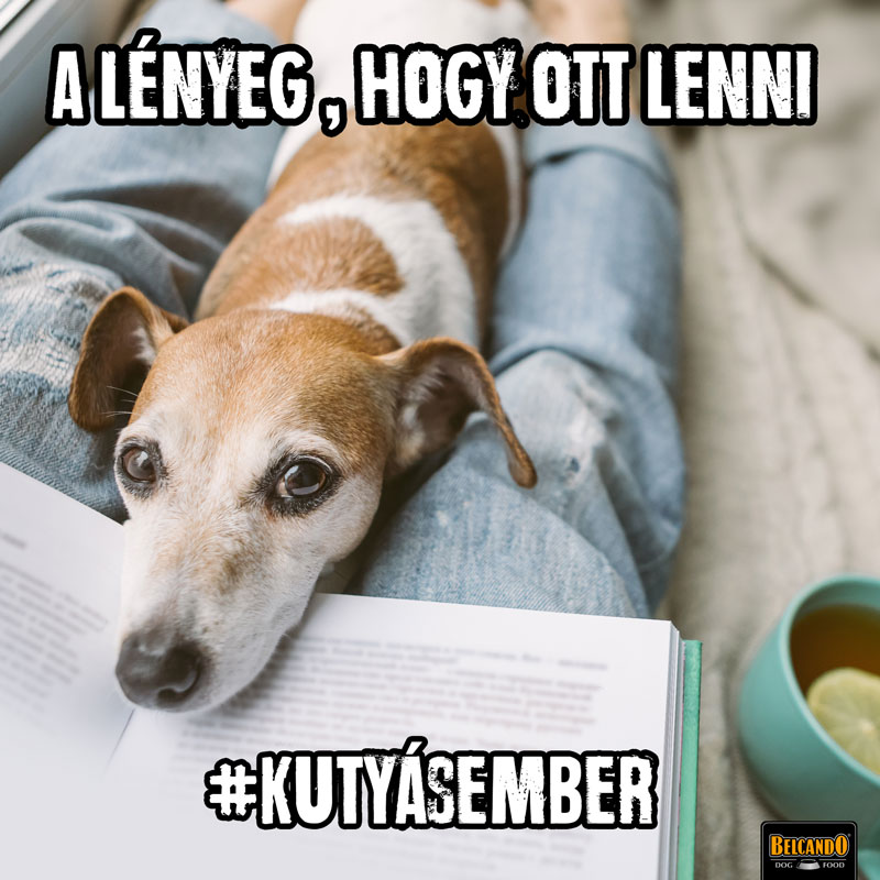 kutyásember kutyásember