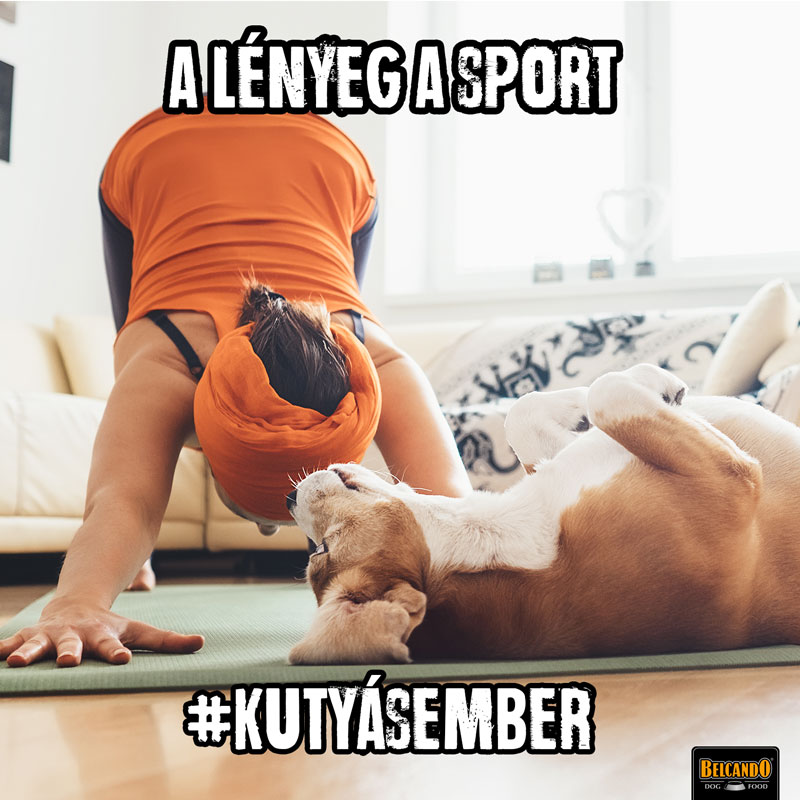 kutyásember kutyásember